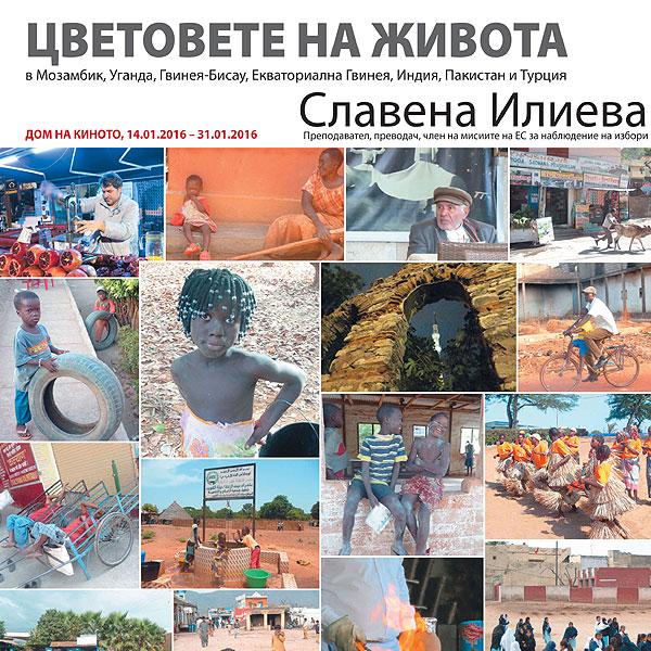 ���������� �� ������� ������ Sofia MENAR