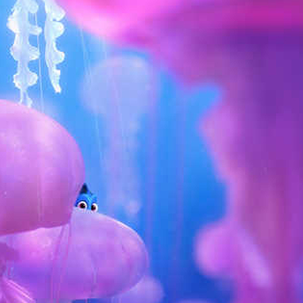 ���� ������� �� ���������� �� ����