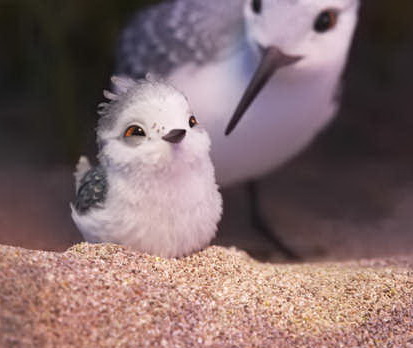 ����� ������ ��� �������