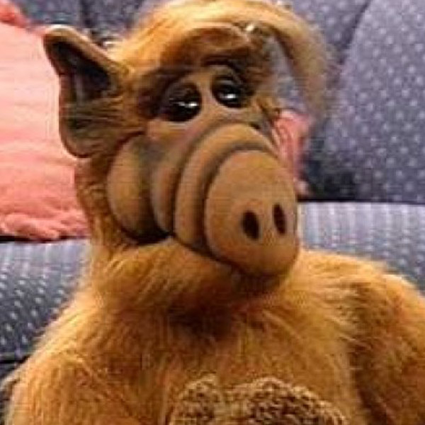 ��� �� ������� �� ������ �����