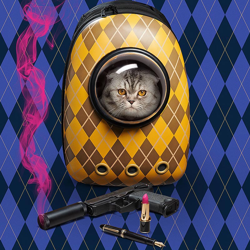 ����� � �� �� ��������� � ��������� �������: ������������ �� ����� ���� � ������