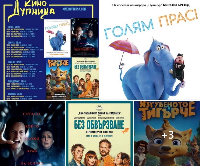 🎥 ���� �������� ����� �������� - 05-11.09.2025 �.