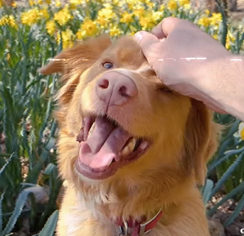 🎬 ������ ��������� ����, ���� ���� ����� ����� �� �� ������ �� ��� ����� ���