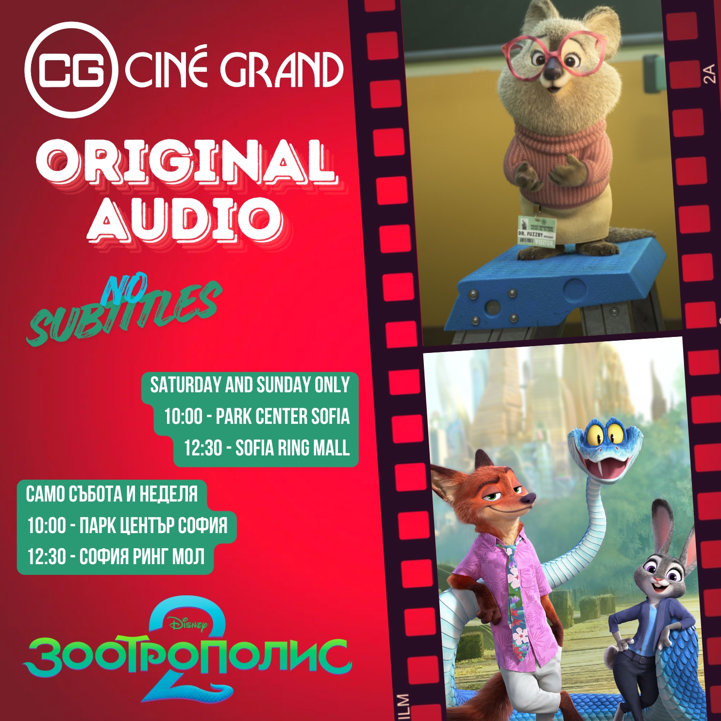 🐾 ������� ������ ���� �� ��������� ���� ������?