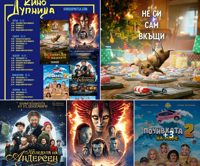 🎥 ���� �������� ����� �������' - 12.12 � 18.12.2025 �.