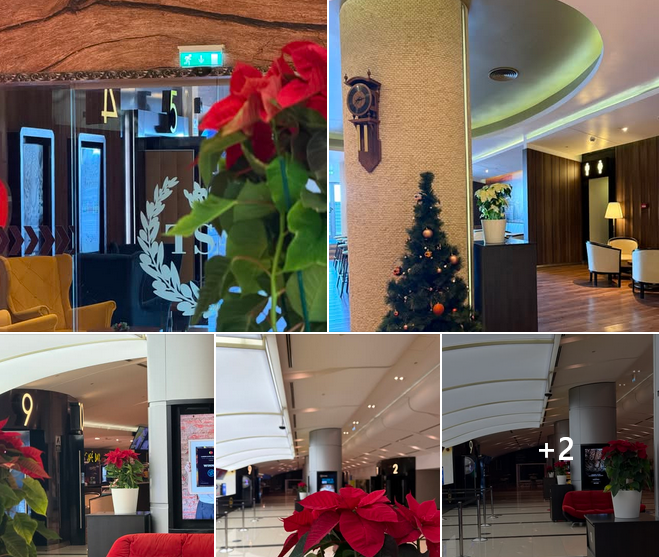 ✨ ��������� �� ������� ��������� �������� � Cine Grand