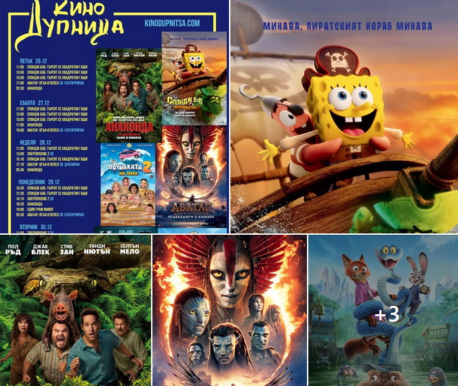 🎥 ���� �������� ����� ������� - 26.12 � 01.01.2026 �.