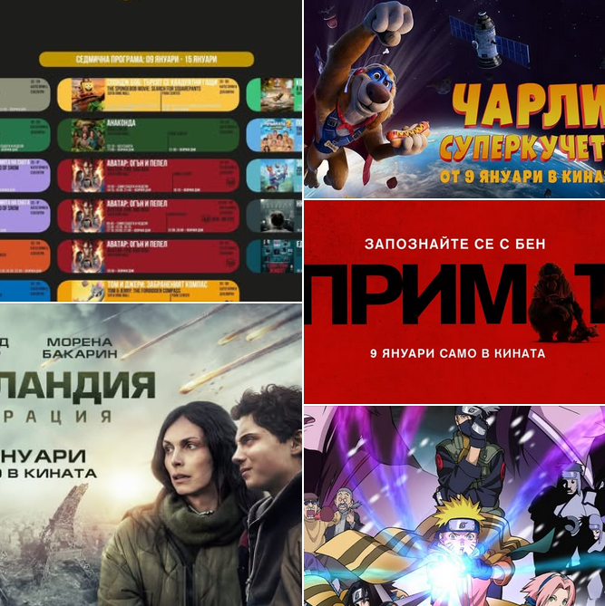 🚨 ���� ���� ����� � Cine Grand