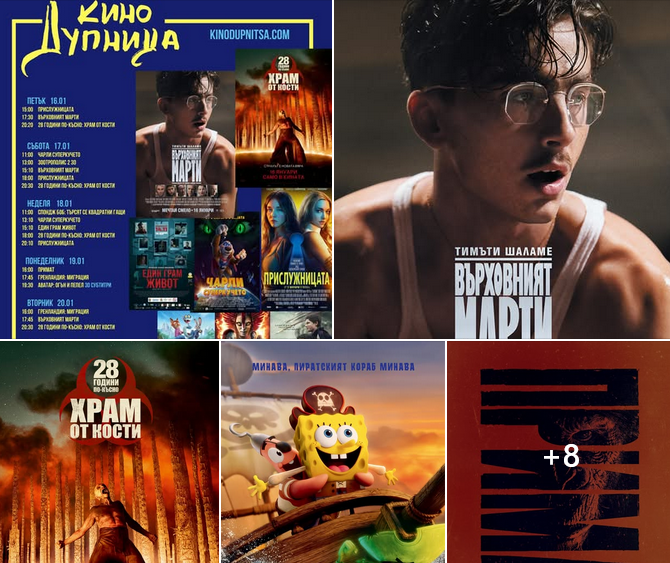 🎥 ���� �������� ����� ������� - 16.01 � 22.01.2026 �.