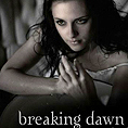 The Twilight Saga: Breaking Dawn в две части