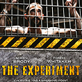 The Experiment -   DVD