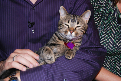 �������� �� ���� ��� �������� �������������� ������ ��� ������ ����� �� ��������� �����.