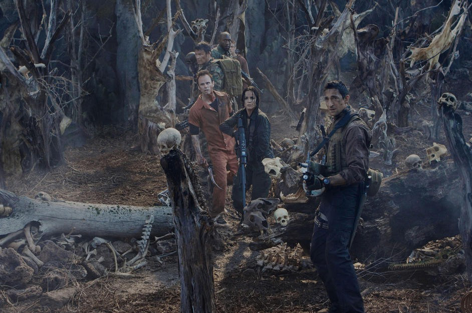 ������� ������� ������ ���� �����