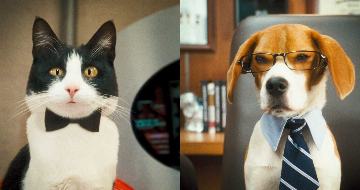 ����� � ������: ����������� �� ����