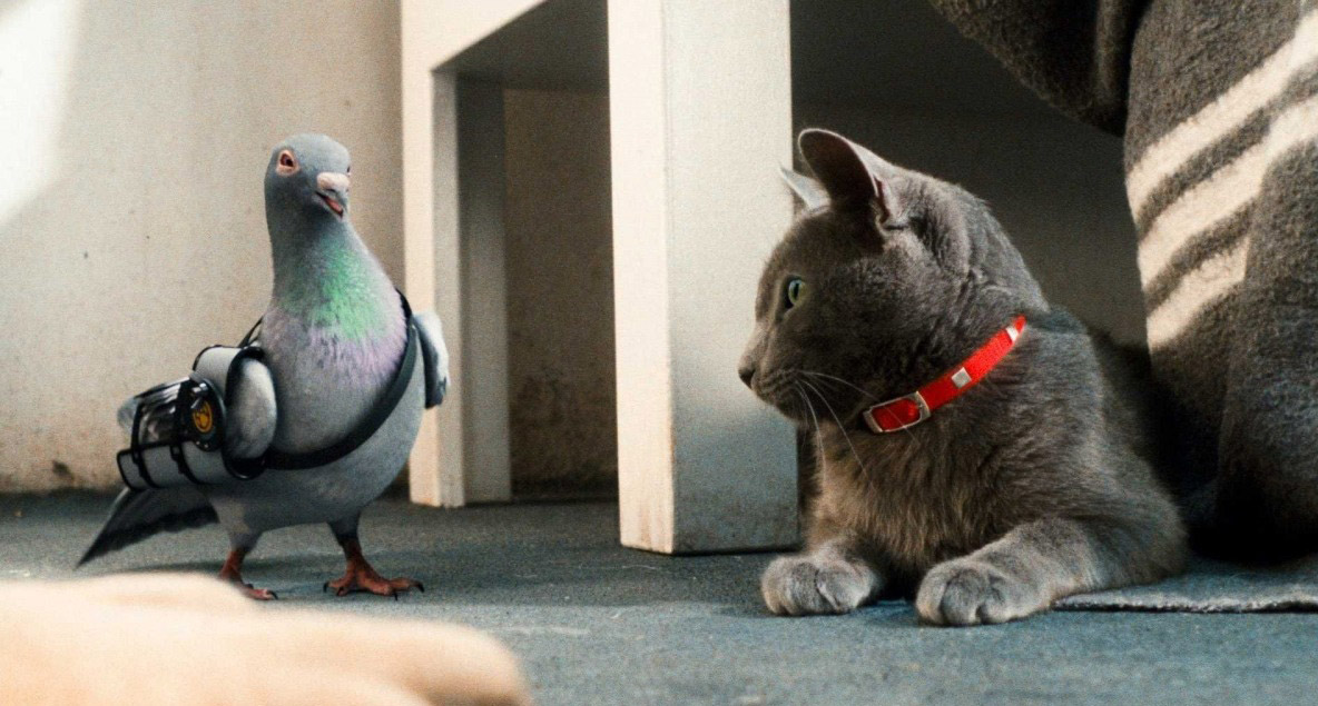 ����� � ������ 2: ����������� �� ���� �����