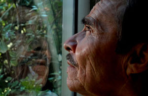 Parque vía (2008) ������� ���. ������ ������