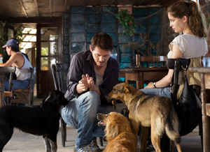 ��������� ������� � ������ ��������