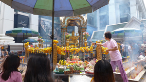 ������ �������� �������� ���� �������� �� 22 �������� � 21:00 �. �� National Geographic Channel