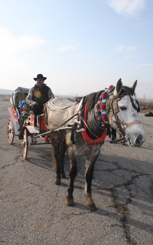 ������������ ��������� � ������� ������� ���� � 21.00 �. �� ���� ��