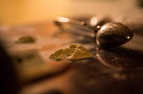 ���������� ���� ���� �� National Geographic Channel