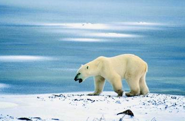 ���������� ���� ���� �� National Geographic Channel