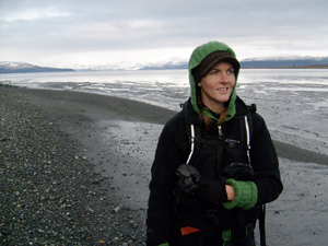 ������: ���������� �������