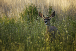 �� 12 ��� �� 22:00 ���� ������� ��������� ���� �������� �� 7 ����� ������� �������.