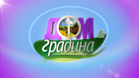 ���� ������ ��������� ������� �� ��������� � ���������� � ���� � �������� � �� 7 ��������� �� bTV Lady