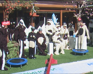 �� ���� �� 20:00 ���� ���� ����� ��������� �� ���� �� �� ������ ��������� �� ������� ��������� �� ��������� �� ������ �� VIP Brother. 