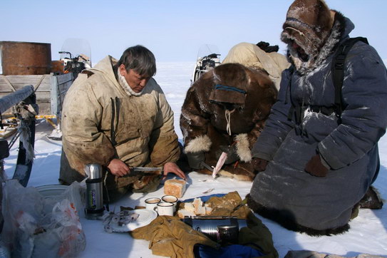 �� 11 �������� � ��������� ����, ������� ������������� ������ ������ ����� �� ��������� ��������� �� ���� ���������� �������, ���� �� ���������� �� ��������� Sofia Biting Docs. 