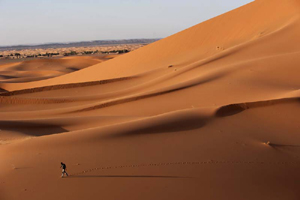 ���� ����� �� ������� � ��� ��-����� � ��������������� ����� �� Discovery Channel