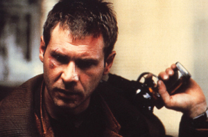 ������� ���� ������ �����