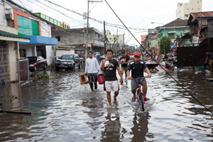 ������ ���������: ���-������� ������ � ������ ������� �����������, ����������� ����� �� ����������� �� �����. 