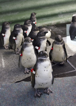 ������ ������� �� ���� ��������