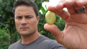 ���� � ������ ����������� �� ������ ������ � ���������� �� ���� ��� ������ ����� �� ������������ ���������. 