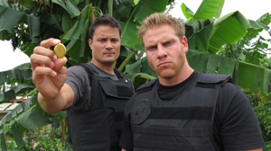 ���� � ������ ����������� �� ������ ������ � ���������� �� ���� ��� ������ ����� �� ������������ ���������. 