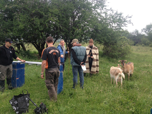 ��������� ������� �� ������� � �������� �� 8-� ����� �� ����������� �����