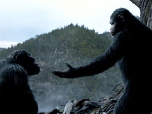 ������ �� ��������� �� ���������