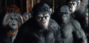 ������ �� ��������� �� ���������