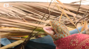 ��� ������ � ���������� Survivor � ���� ����� �� 21:30 ���� �� bTV