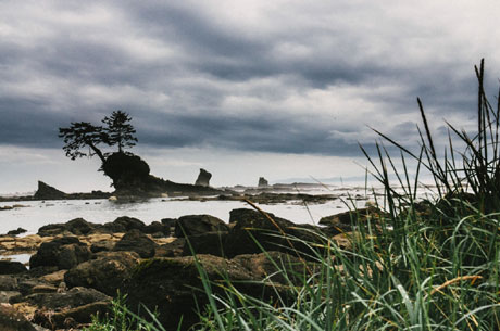 �� ������� � ������ (4x60)