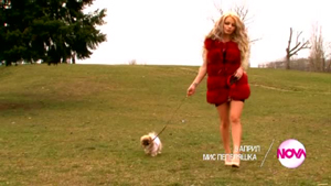 ��� ��������� � �� 9-� �����, ����� ���������, 22.00 �. �� ����