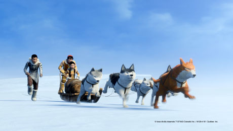 ��������� �� ������� ������� �� ��������� �� 22 ������� �� 11:00 ���� � �� 29 ������� �� 10:00 ���� � ���� �������. �������� � �� ���� �� 9 �� 12 ������.