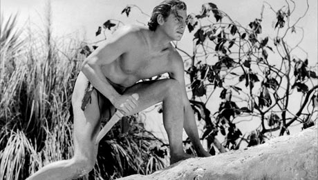 ������� ���� �� ������