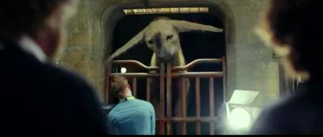 ������ VIII: ���������� ������, ����� �� ������ ���������� �� ������� ������