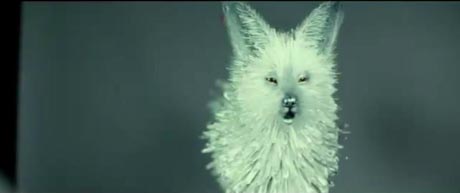 ������ VIII: ���������� ������, ��� � ���������� ������, ��������� ���� �� ������