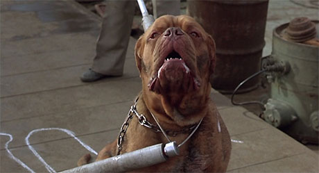 ���������� ������� �������, ����� �� �������� ����� �� �������