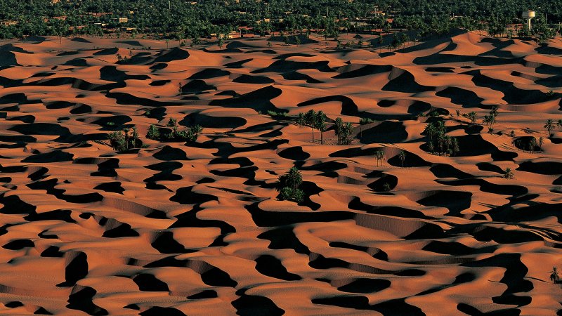 ����� ��������