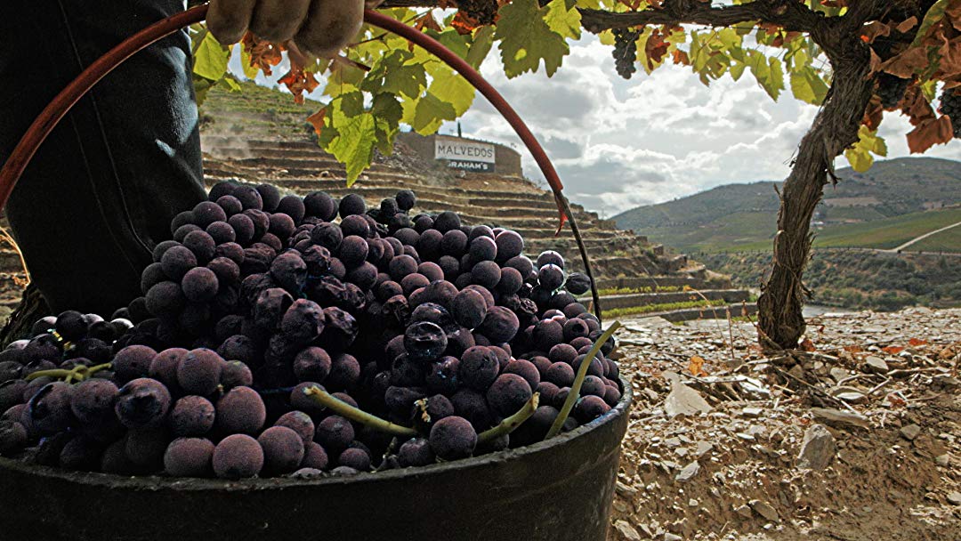 ������ �� ������������������ � �����