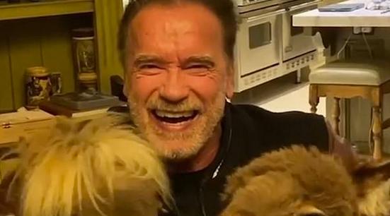 ������ ����������� � ��������� � �����